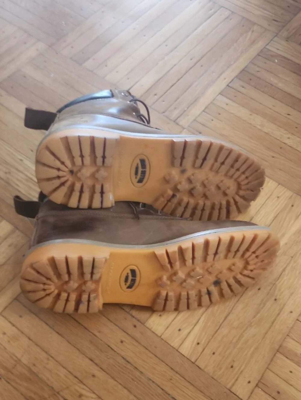 Irish Setter sturdy leather